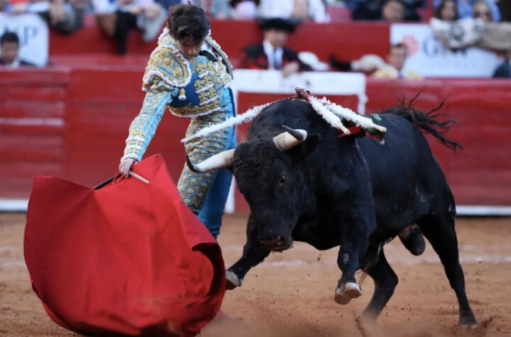 Volvieron corridas de toros