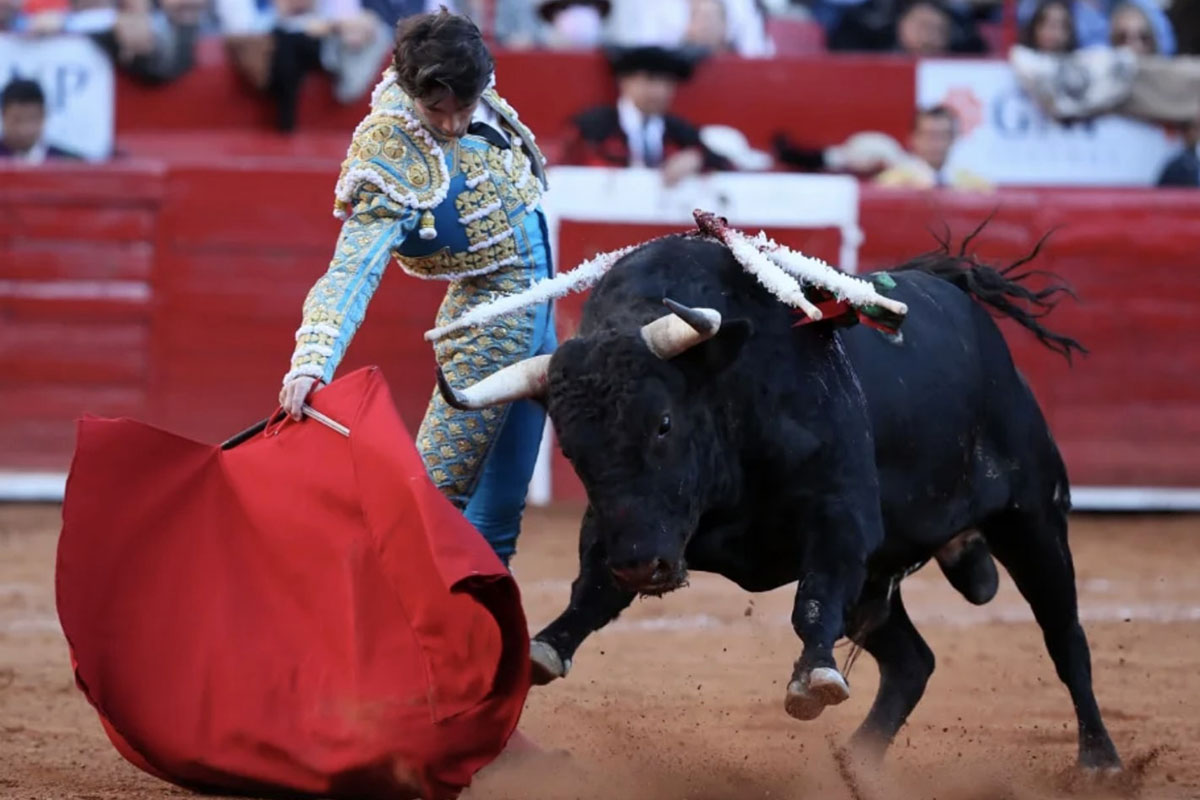 Volvieron corridas de toros