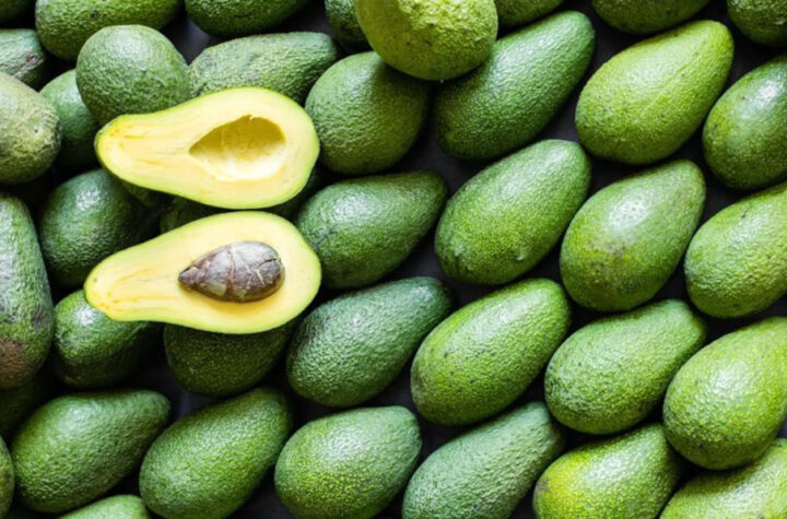 Jalisco aumentó exportación de aguacates para Super Bowl 2024