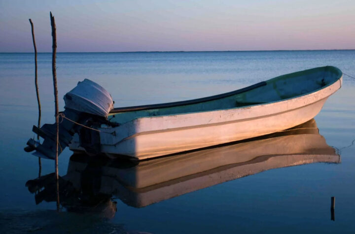 Víctimas asiáticas