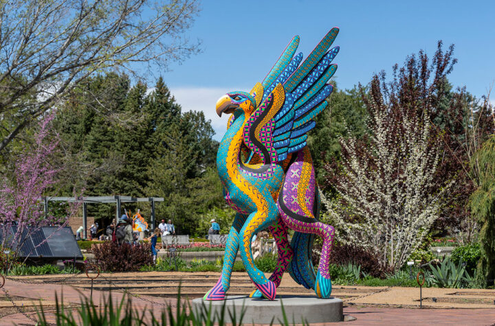 Tesoros de la imaginación oaxaqueña exhibidos en el Denver Botanic Gardens