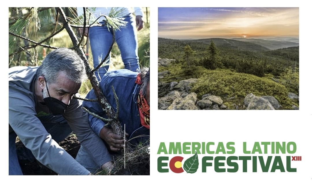 Los bosques urbanos representan una solución para una vida saludable y sostenible Urban forests represent a solution for a healthy and sustainable life