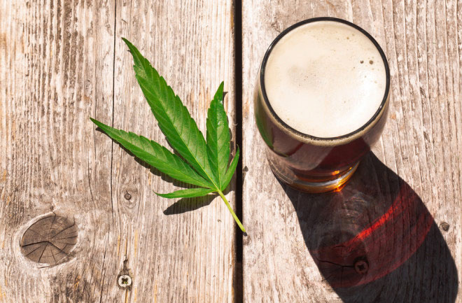 El cannabis supera al alcohol en consumo diario