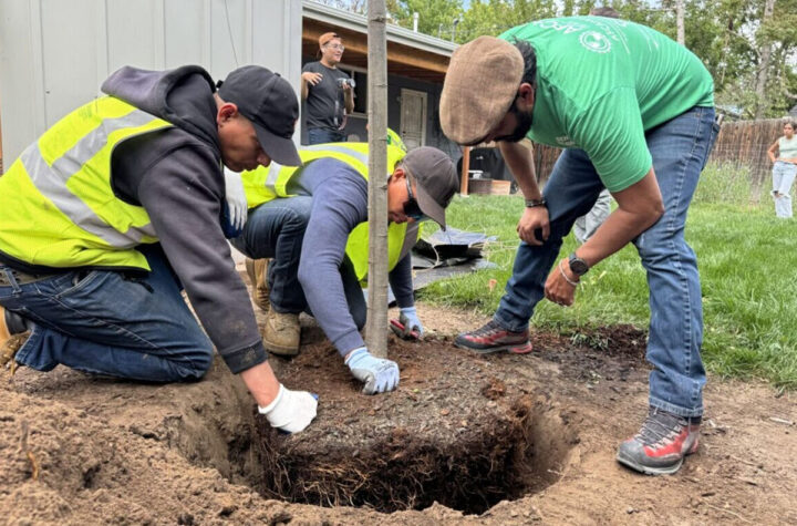 Voluntarios plantan 50 árboles en Del Mar Park de Aurora An Environmental Justice Effort Un Esfuerzo de Justicia Ambiental