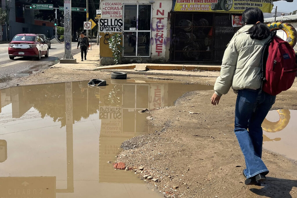 Combate contra el dengue