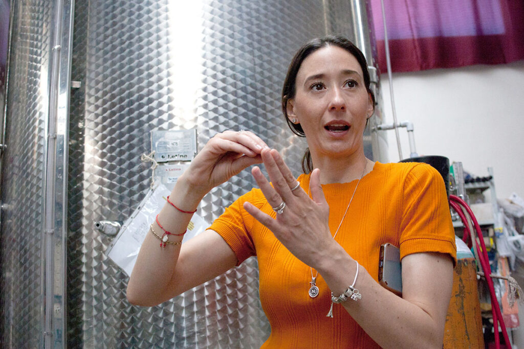 Industria del vino emerge en Chihuahua