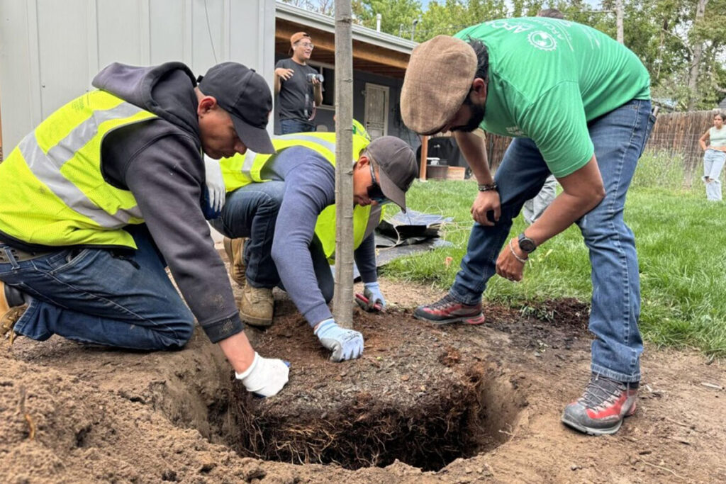 Volunteers Plant 50 Trees in Aurora's Del Mar Park Cuidado de árboles en Colorado