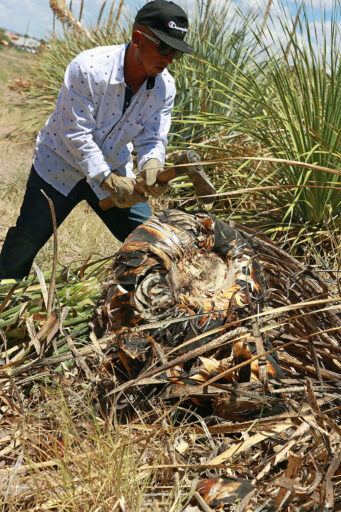 El Sotol conquista paladares con su sabor tradicional