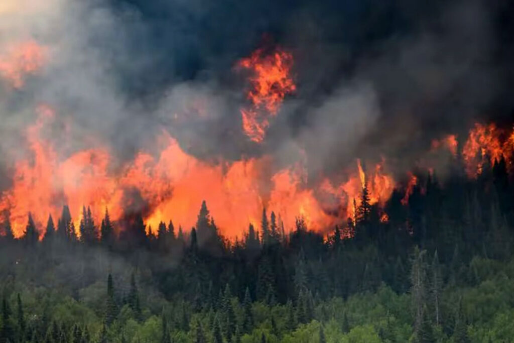 Incendios forestales amenazan salud cerebral