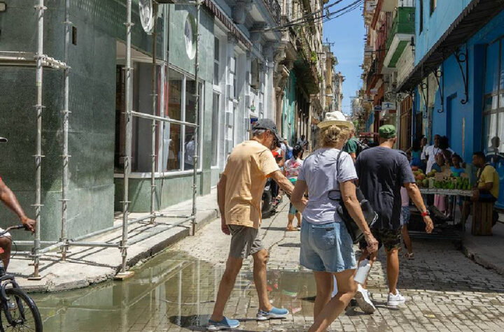 Cuba reporta 500 casos de fiebre de Oropouche