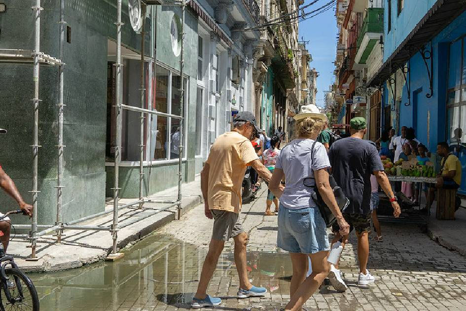 Cuba reporta 500 casos de fiebre de Oropouche