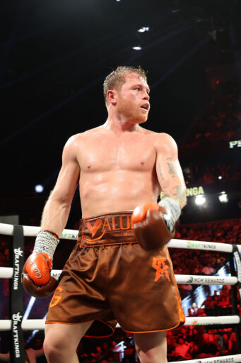 Canelo venció por unanimidad