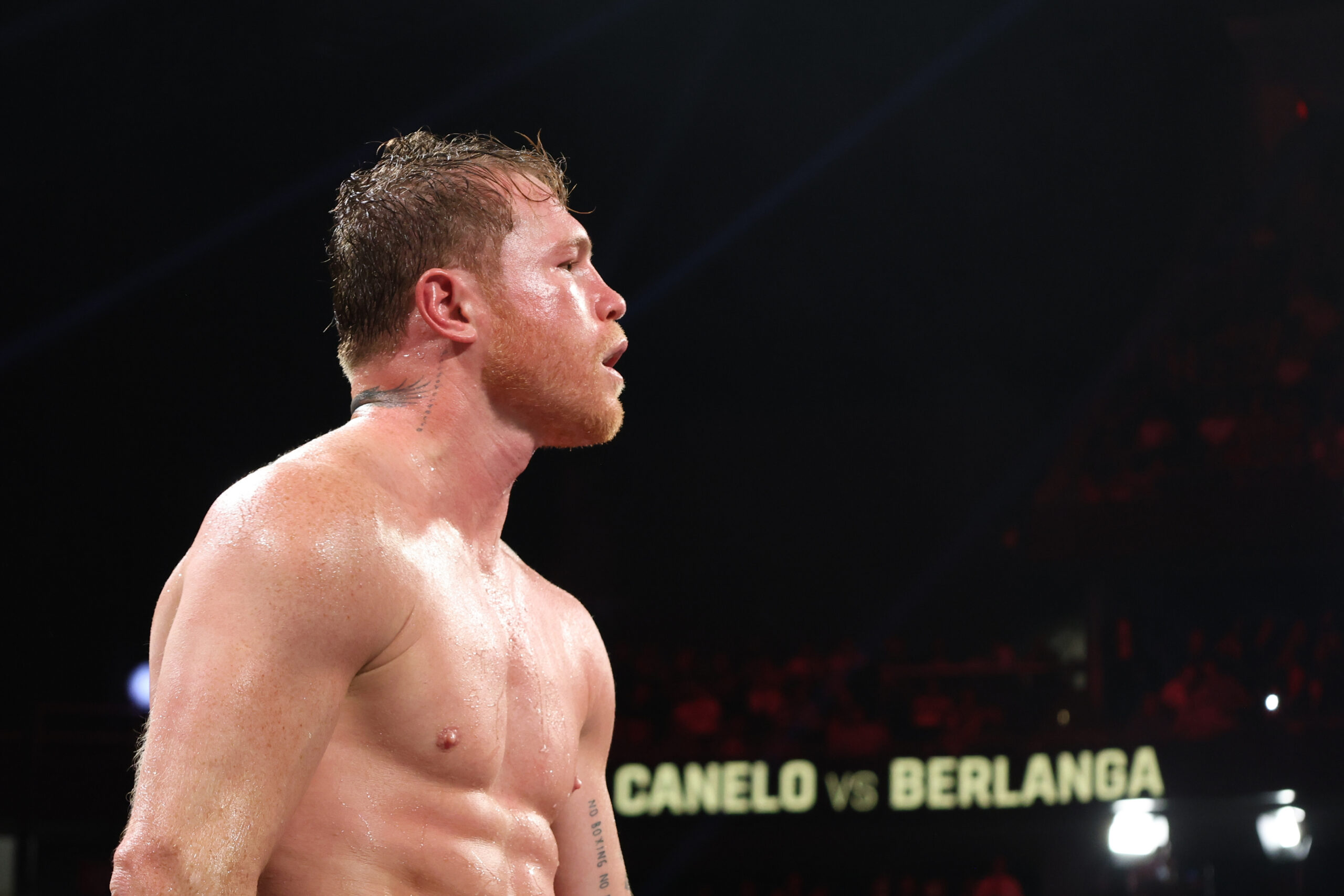 Canelo venció por unanimidad