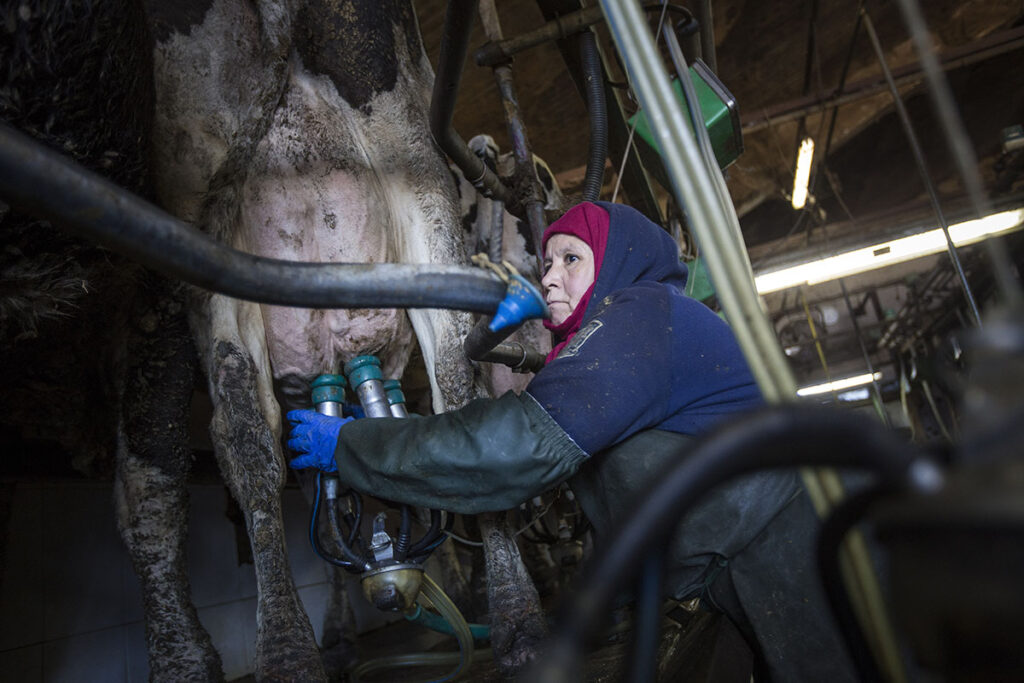 Contagiados por gripe aviar en Colorado son trabajadores hispanos