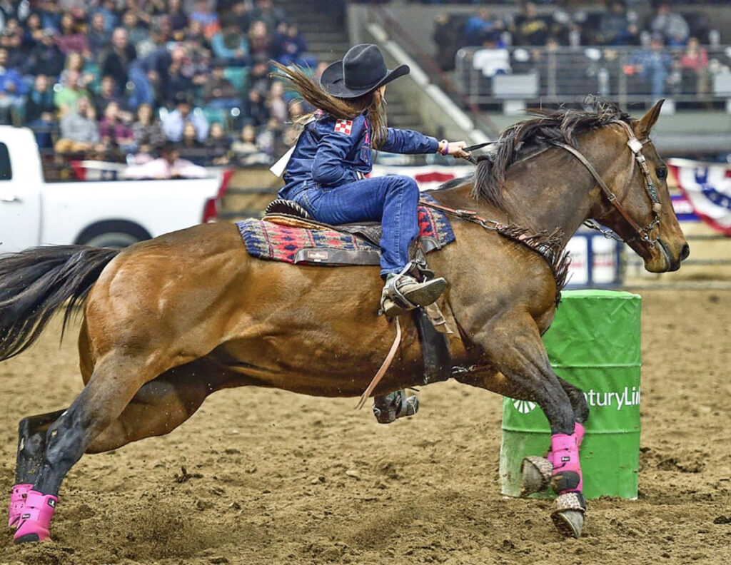 National Western Stock Show y Rodeo