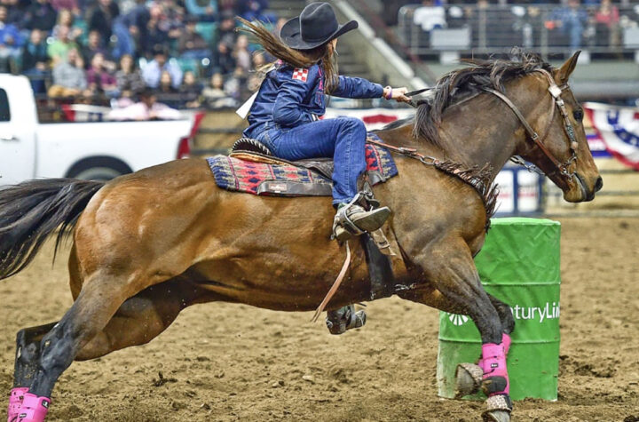 National Western Stock Show y Rodeo