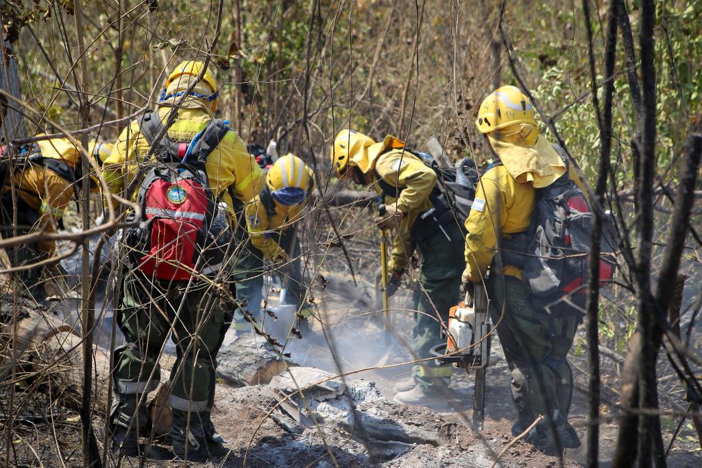 Los “Serpiente Amarilla” mexicanos combaten incendio en Los Ángeles