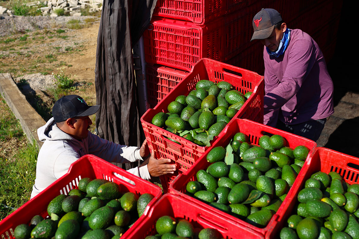 Suspenden aranceles a productos mexicanos y canadienses hasta marzo