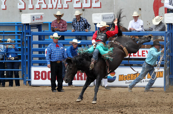 Greeley quiere saber qué piensan sus visitantes y vecinos