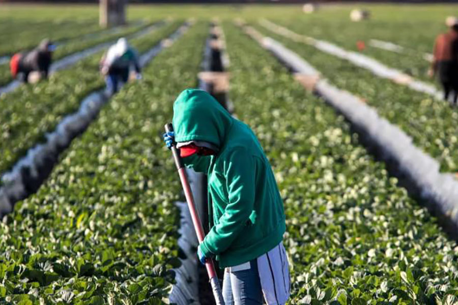 Demandan a Trump por eliminación de parole humanitario 