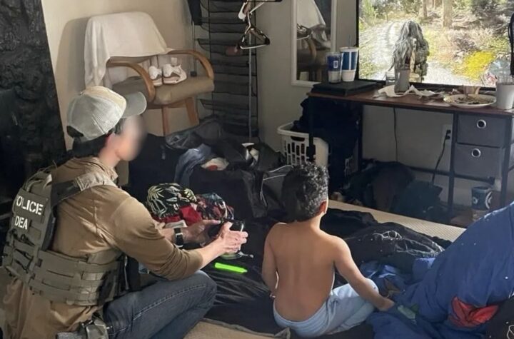 A Moment of Humanity Amid the Chaos