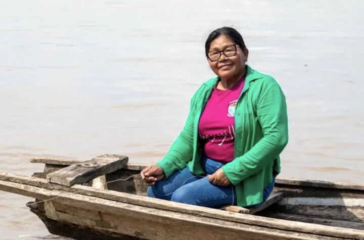 Defensora del Amazonas 