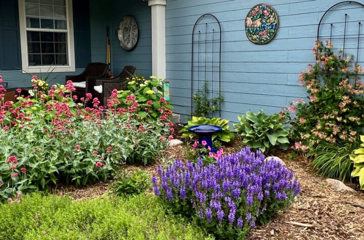 Cuidemos el agua para preservar la vida 