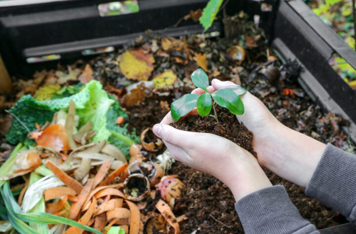 Recicle, haga abono y ahorre 