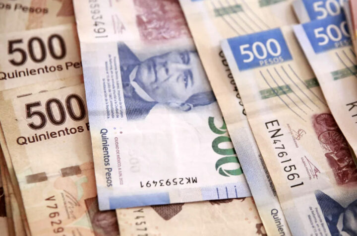 Cae cremiento económico   