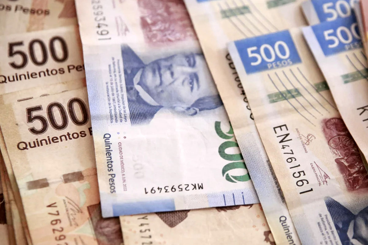 Cae cremiento económico   