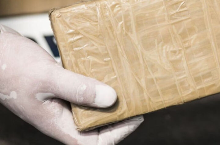 Incautan media tonelada  