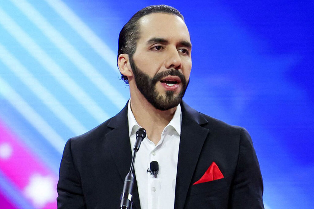 Reelección indefinida 