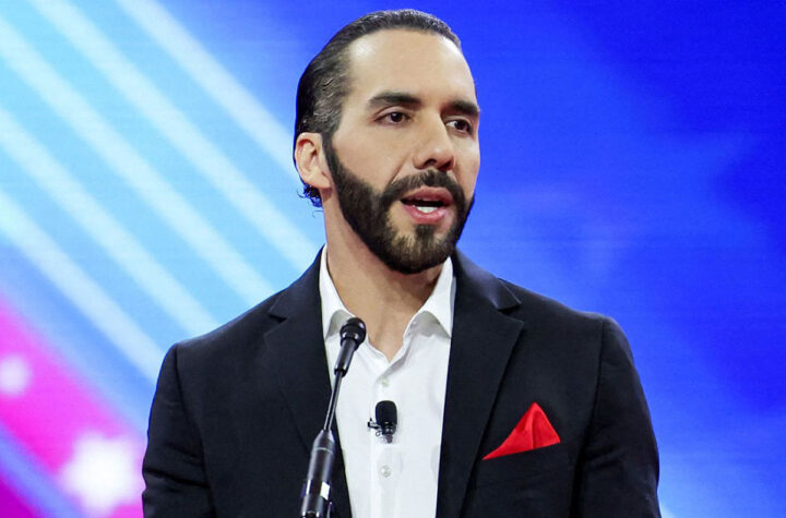 Reelección indefinida 