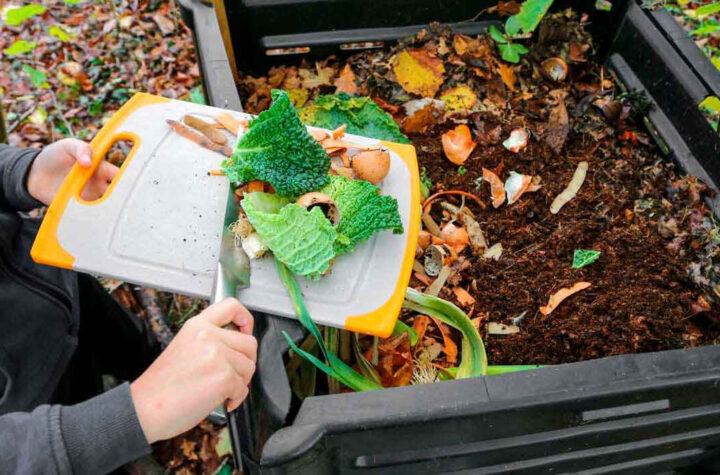 Composta en casa un paso hacia la sostenibilidad 
