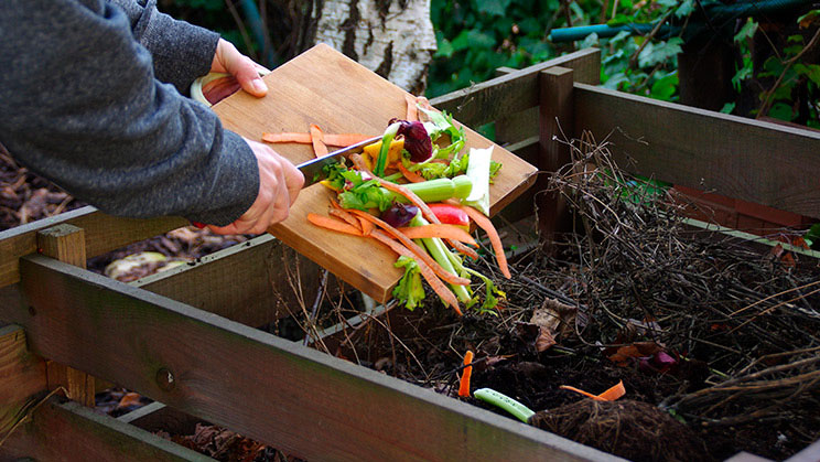 Composta en casa un paso hacia la sostenibilidad 