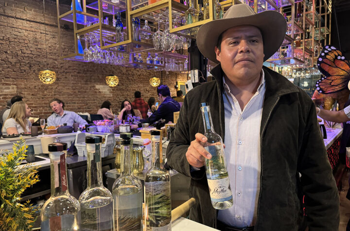 El viaje del mezcal que conquista corazones  