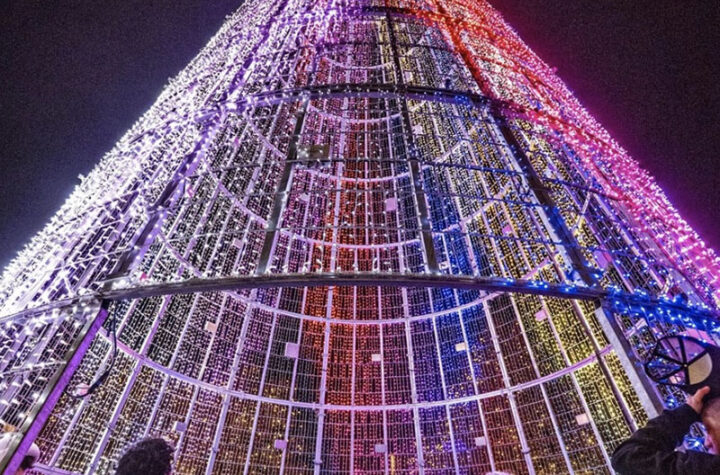 Celebra la navidad en el Auraria Campus 