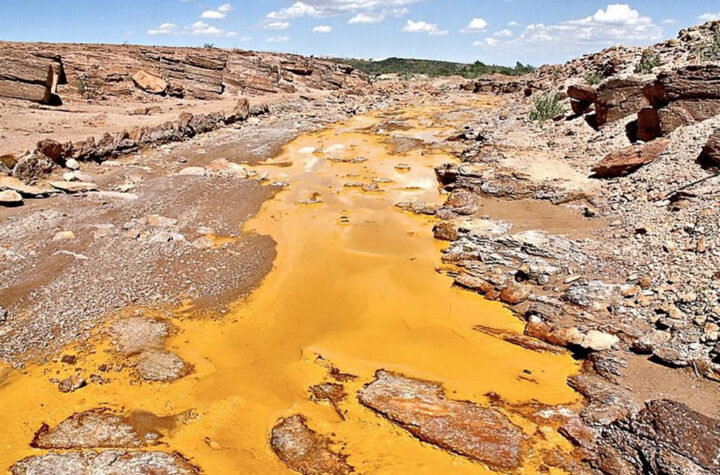 Analizan río Sonora 