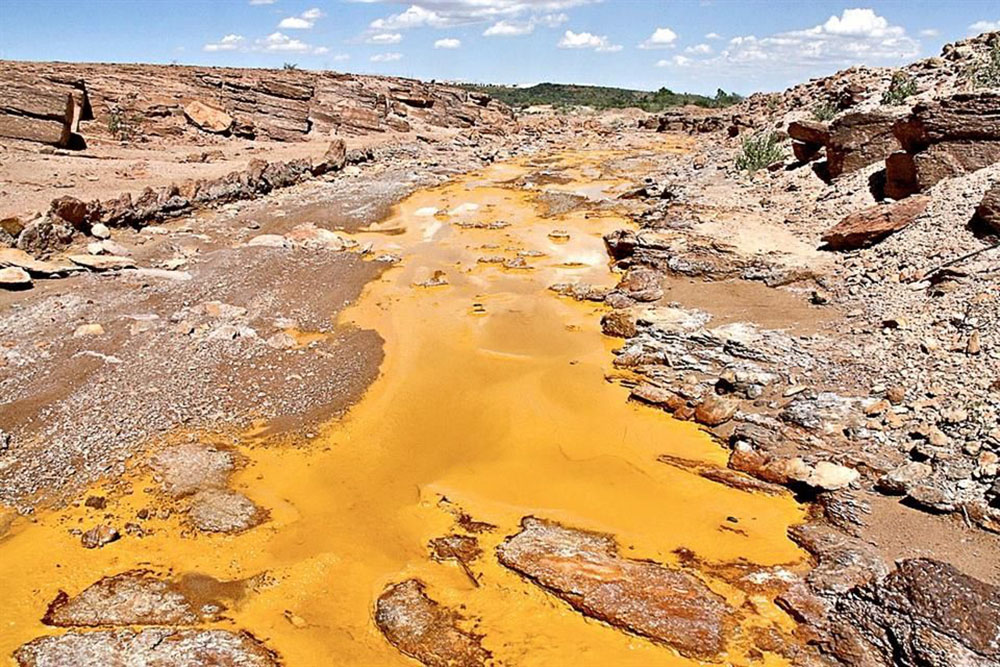 Analizan río Sonora 