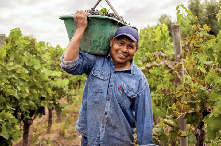 Bill advances to protect workers from extreme weather Impulsan ley para proteger trabajadores del clima extremo 