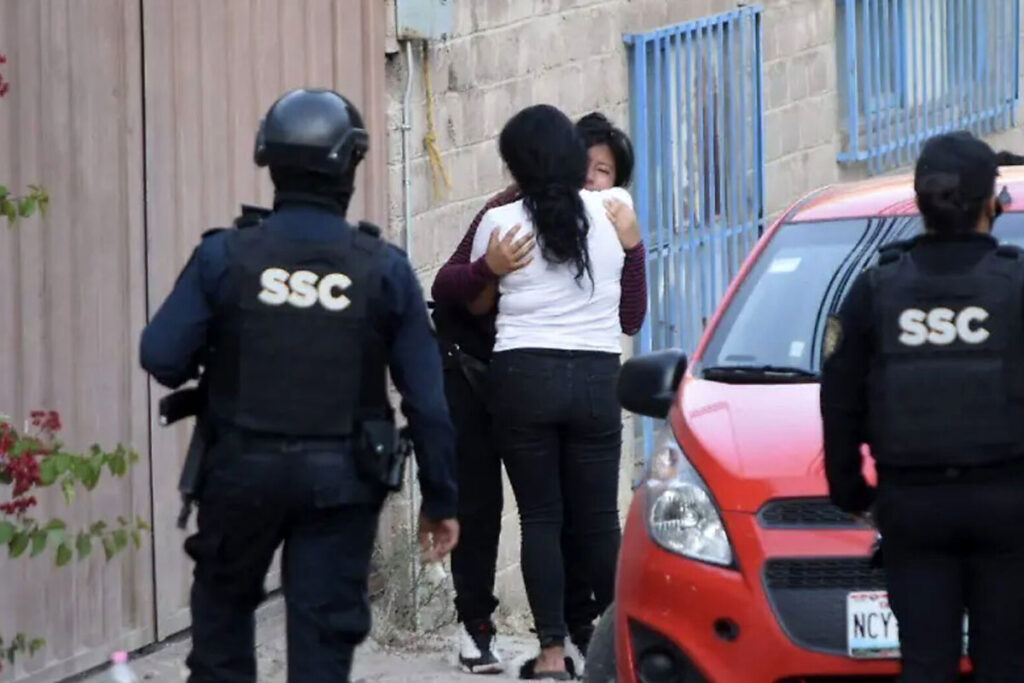 Detención y decomiso 