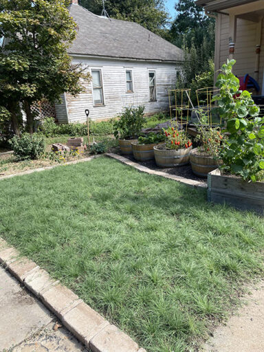 Especies nativas permiten ahorrar agua en Colorado 