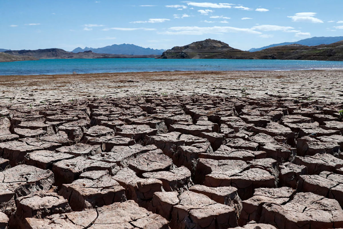 ¿Como prepararnos para una sequía? 