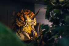 Dinosaur Ridge estrena espectacular exhibición inmersiva a pasos de Red Rocks