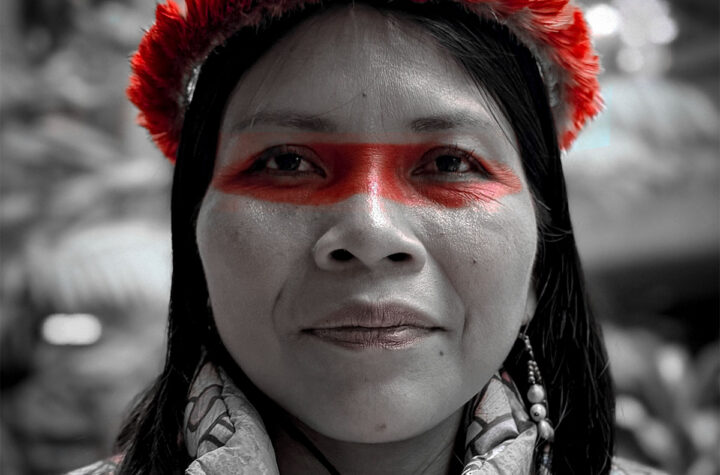 Un llamado urgente para salvar la Amazonía  