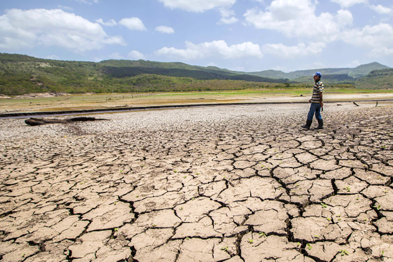 Activa monitoreo de agua por sequía