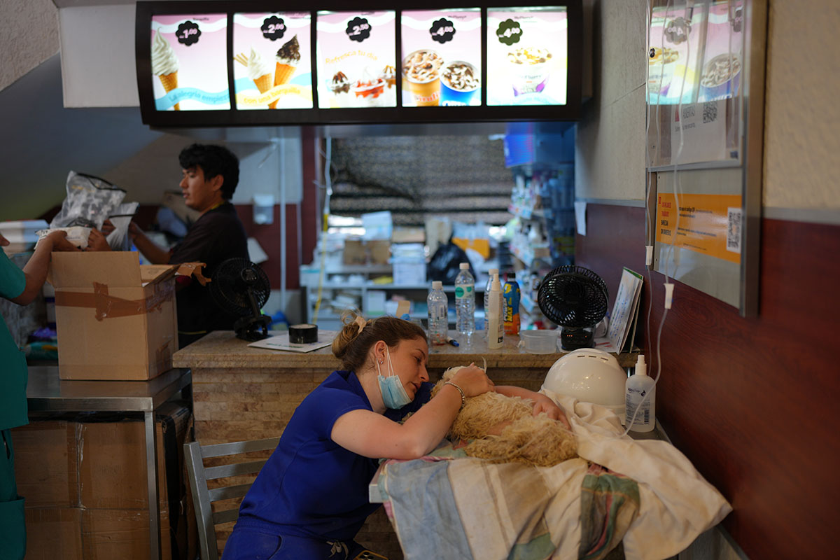 Hospital McDonald’s para mascotas