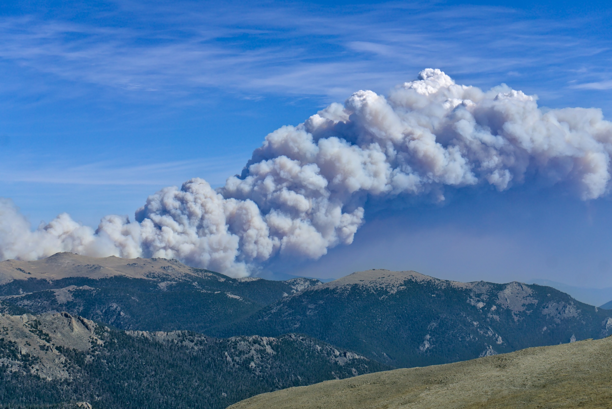 Polis exige ayuda federal urgente tras devastación por incendios
