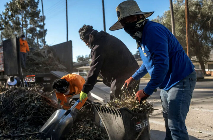 Defending day laborers from wage theft and retaliation Defendiendo a trabajadores por día del robo de salario y las represalias