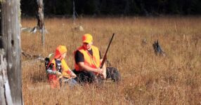 Enmienda 83 podría cambiar control de fauna silvestre en Colorado